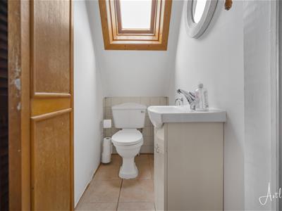 Picture 21
